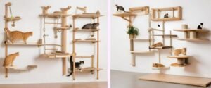 Ideas de Gimnasios para Gatos Creativos