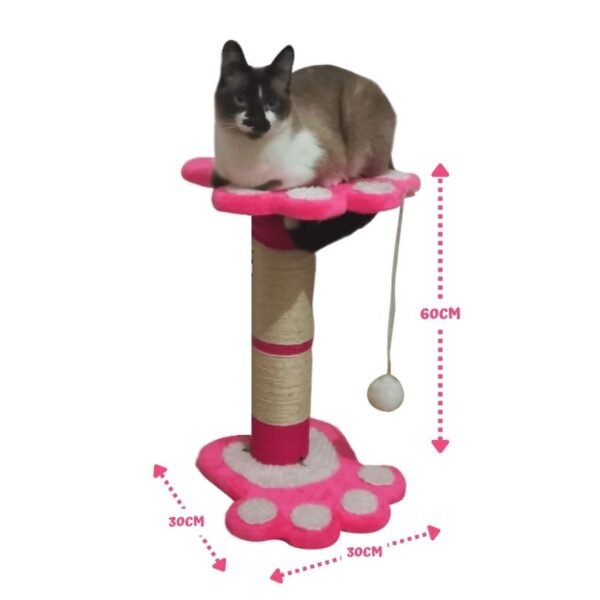 Gimnasio para gatos ref huella 3b