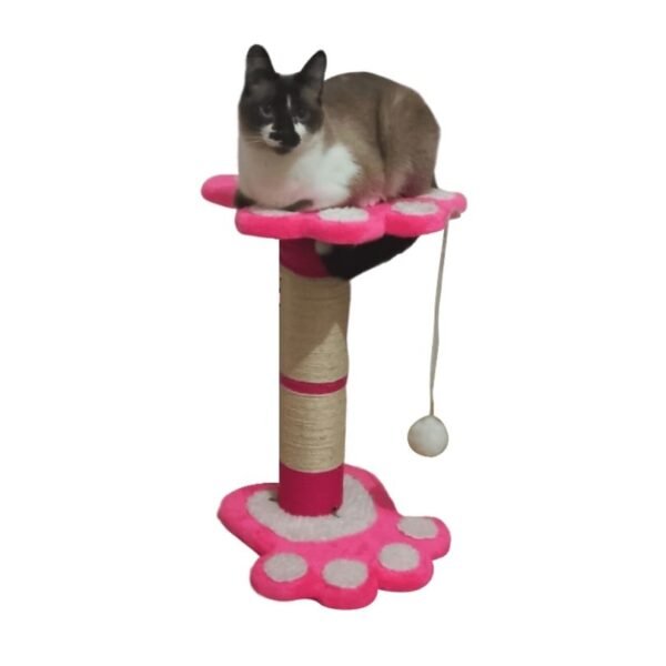 Gimnasio para gatos ref huella 3