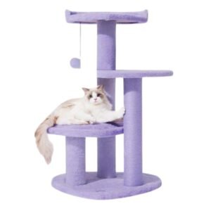 Gimnasio para gatos Ruby