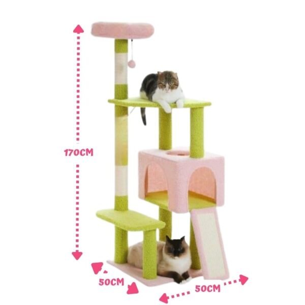 Gimnasio para gatos Teddy 2