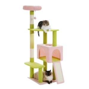 Gimnasio para gatos Teddy