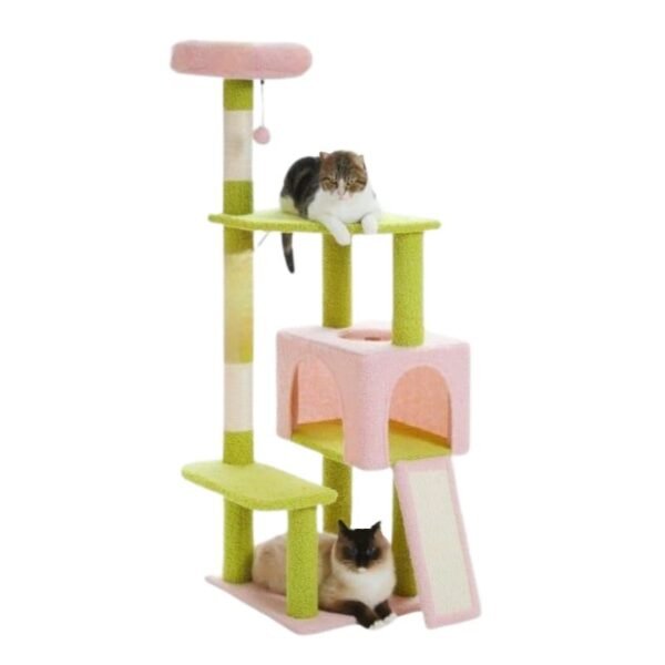 Gimnasio para gatos Teddy