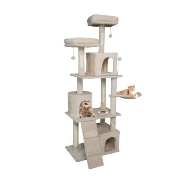 Gimnasio para gatos Izaya