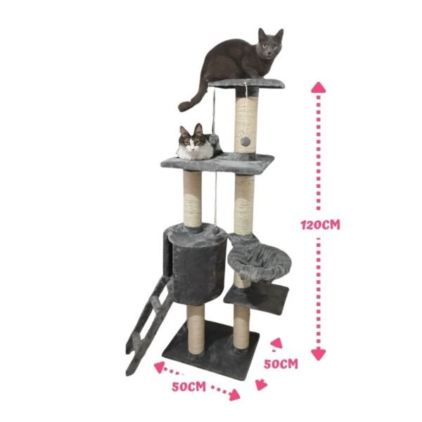 Gimnasio para gatos Kaito (2)