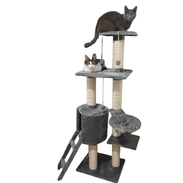Gimnasio para gatos Kaito