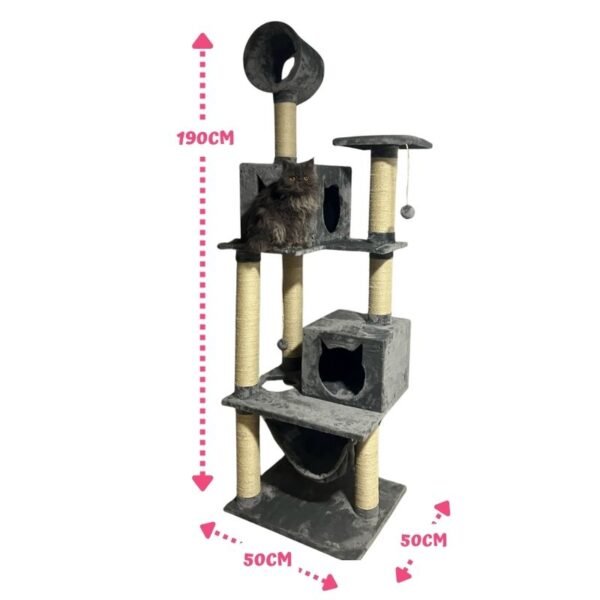 Gimnasio para gatos Kanade (2)