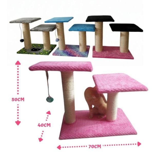 Gimnasio para gatos Kenshiro (2)