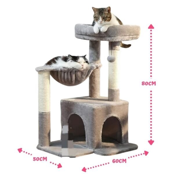 Gimnasio para gatos Risa (2)