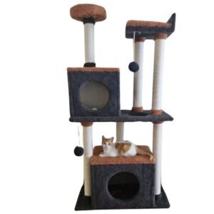 Gimnasio para gatos Rukia