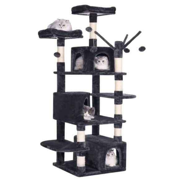 Gimnasio para gatos Subaru