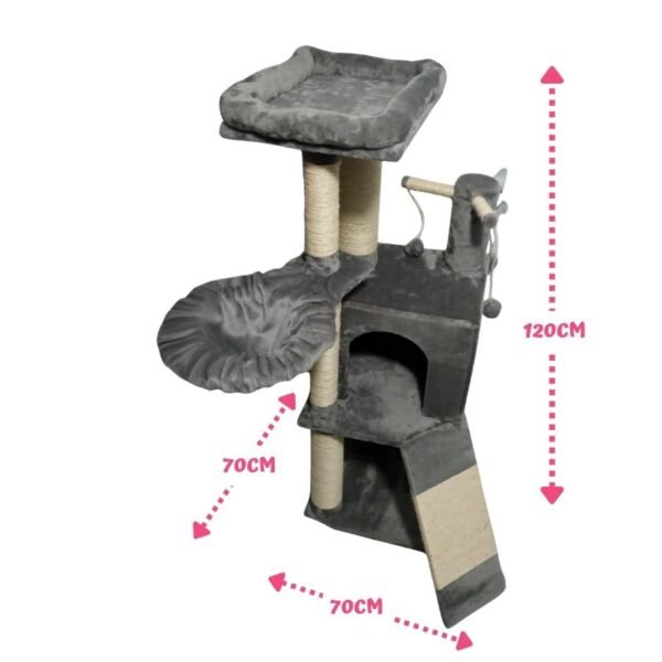 Gimnasio para gatos Zenitsu (2)