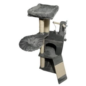Gimnasio para gatos Zenitsu