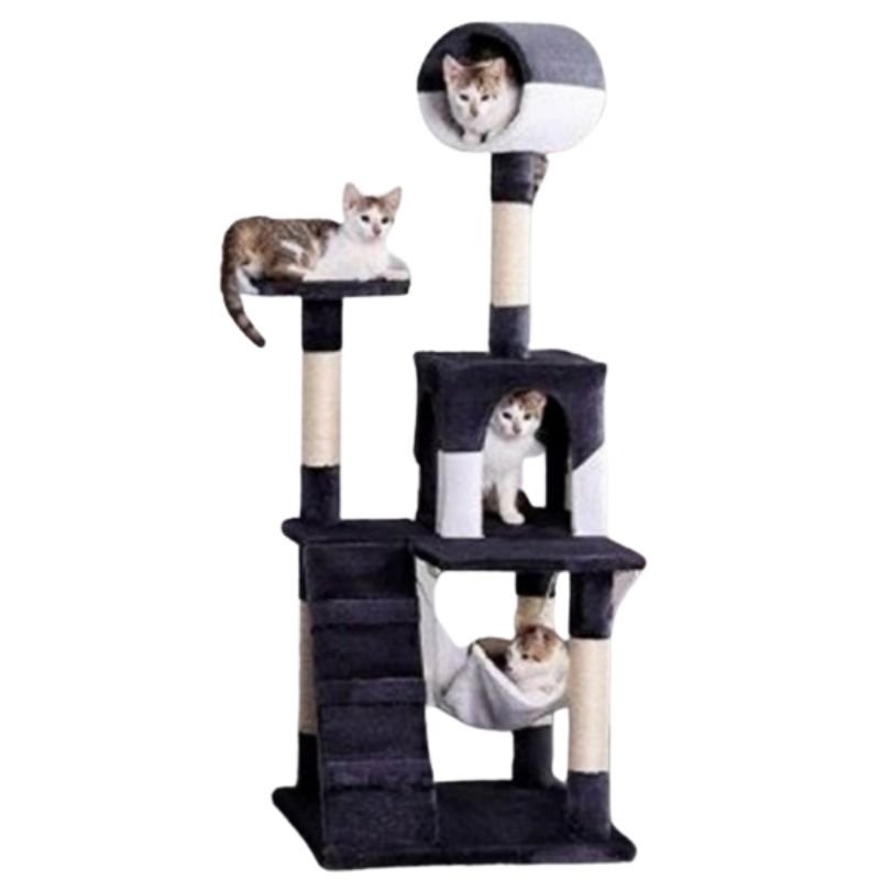 Gimnasio para gatos Gladiolo 1 Gimnasio para gatos Gladiolo