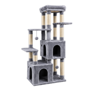Gimnasio para gatos Afganistán