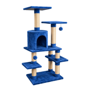 Gimnasio para gatos Albania