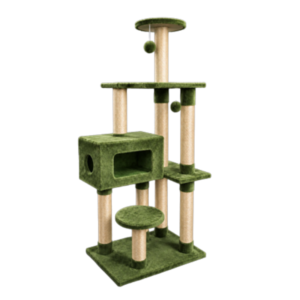 Gimnasio para gatos Argelia