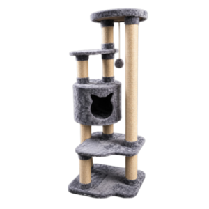 Gimnasio para gatos Argentina