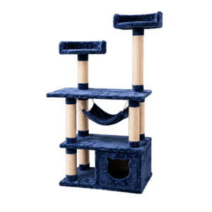 Gimnasio para gatos Austria