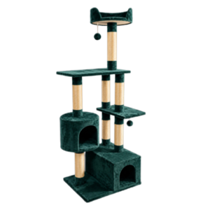 Gimnasio para gatos Brasil