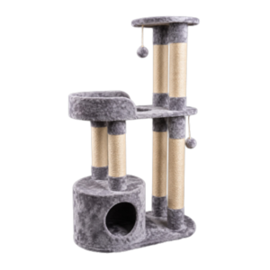 Gimnasio para gatos Brunéi