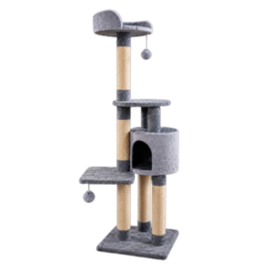 Gimnasio para gatos Burundi