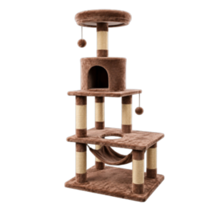 Gimnasio para gatos Bután