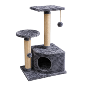 Gimnasio para gatos Camboya