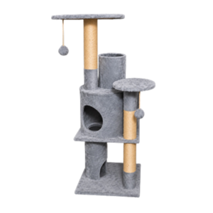 Gimnasio para gatos Catar