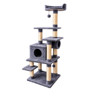 Gimnasio para gatos Chile