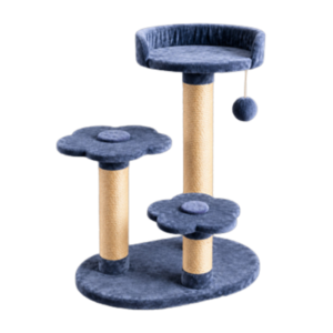 Gimnasio para gatos China