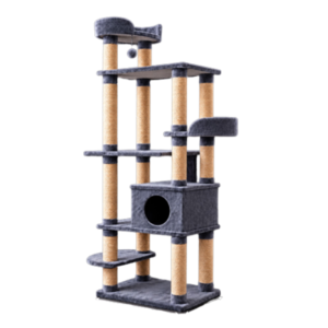 Gimnasio para gatos Chipre