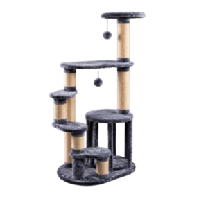 Gimnasio para gatos Eslovenia