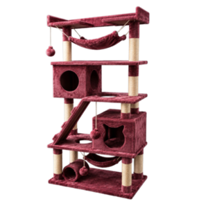 Gimnasio para gatos Haití