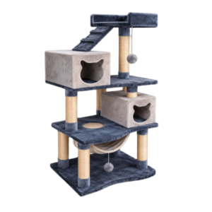 Gimnasio para gatos Italia