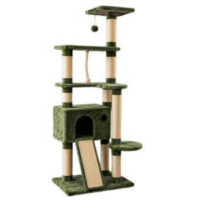 Gimnasio para gatos Nicaragua